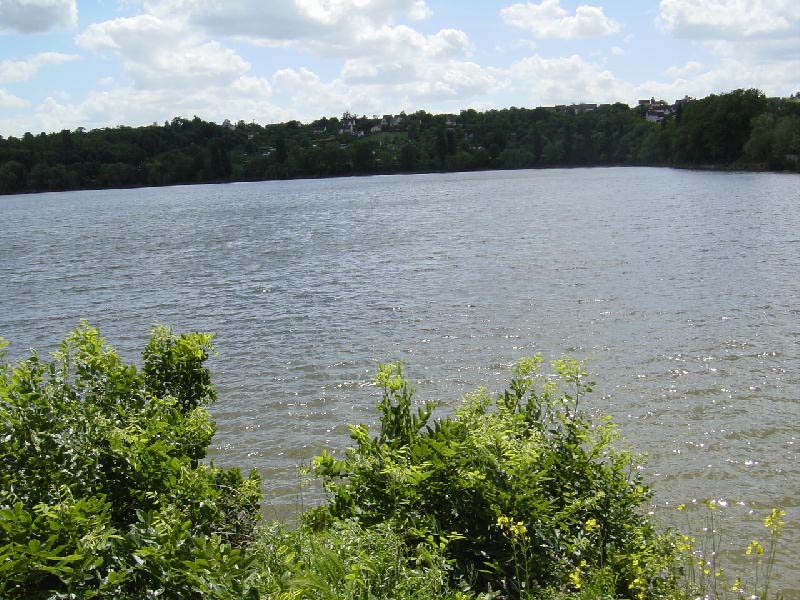 DSC00851b