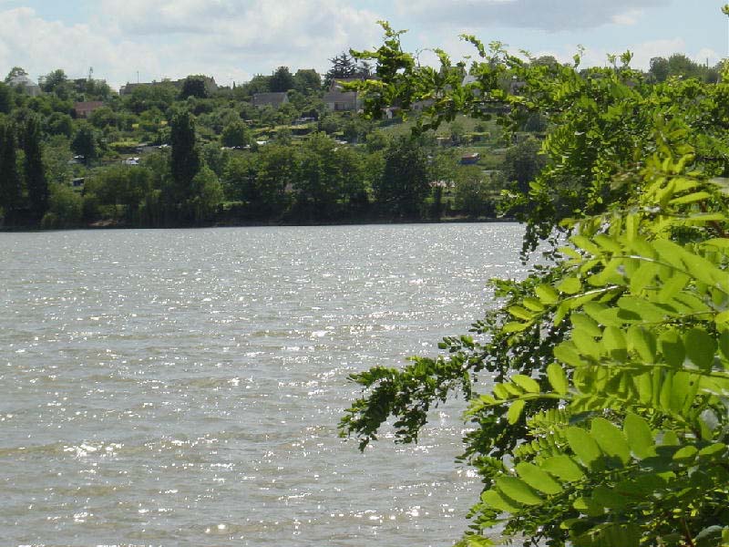 DSC00856B